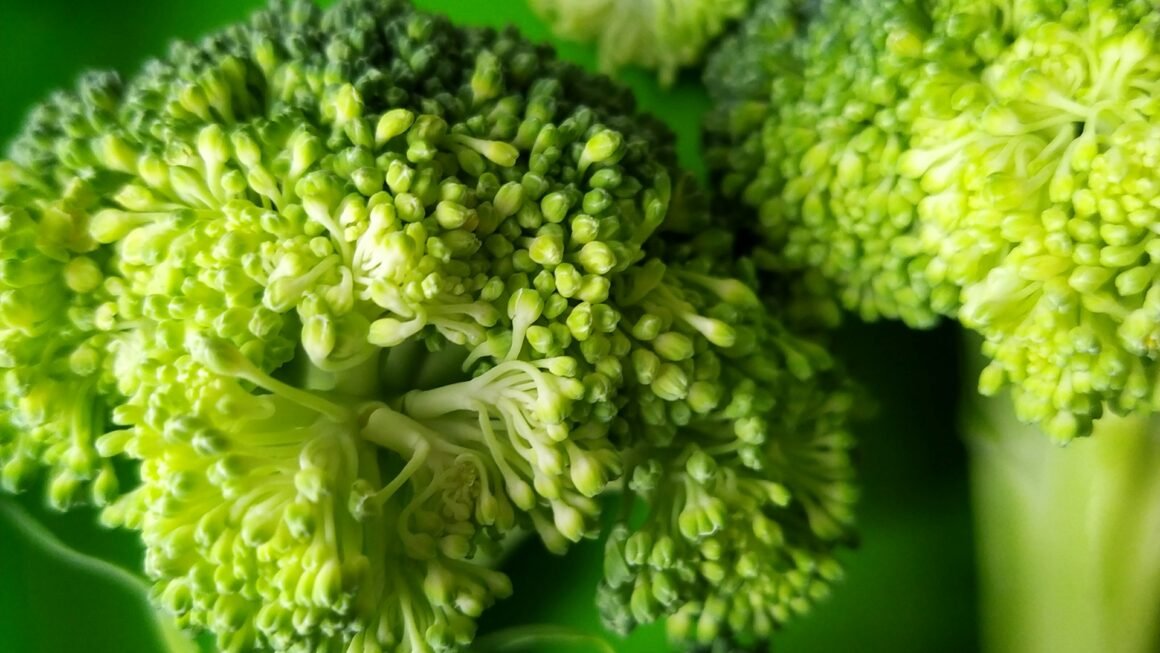 Is Broccoli Keto? Broccoli On A Keto Diet: Tips, Recipes, And Substitutes